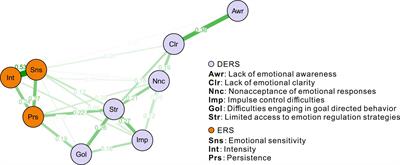 Network analysis of emotion regulation and reactivity in adolescents: identifying central components and implications for anxiety and depression interventions